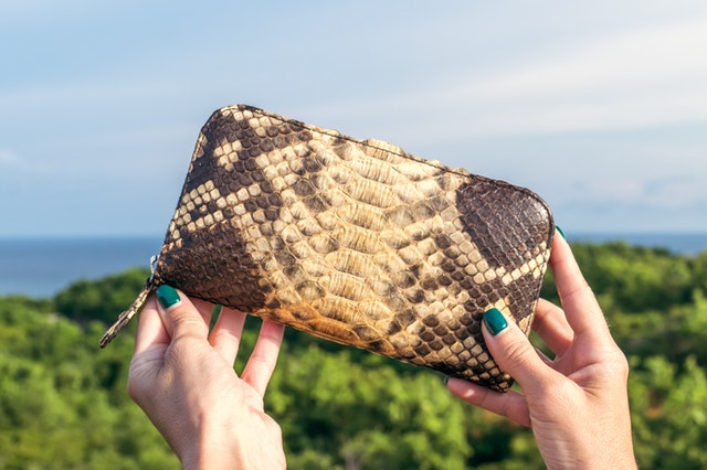 snakeskin clutch